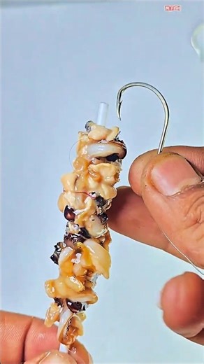 Mussel Bait Trick That Never Falls Off #gtknot #fishing #diy