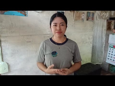 Contralateral Exercises and Ipsilateral Exercises