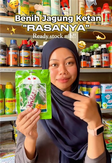 Haloo sobat Golden Agro🌾 Benih Jagung pulut/ketan “Rasanya” dari panah merah Potensi hasil 12-15 ton👀 kemurnian 99.5%🍃 #GoldenAgro #panahmerah #jagungpulut #benih