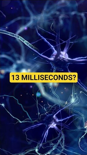 Your Brain Sees Images in Just 13 Milliseconds!