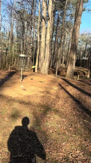 Understanding Disc Golf Eagles: Scoring and Rules