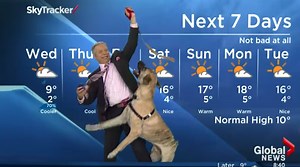 Weatherman Was In Hysterics While Trying To Read The Local Forecast