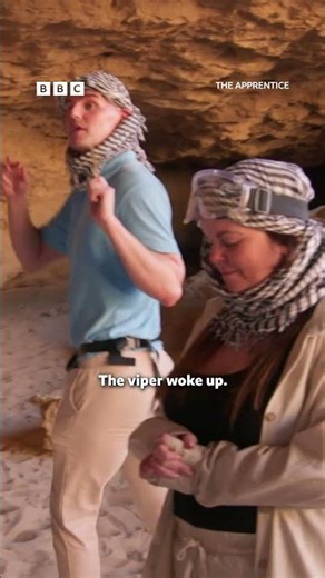 Love The Traitors? This game is for you - BBC