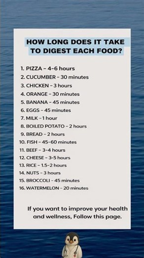 How Long Does It Take to Digest Food? Digestion Times Explained 🍕🍌🥚