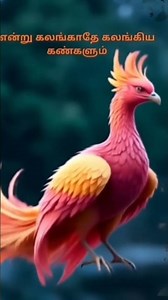 #ayyappaswamysongs #musicgenre #ayyappapatalu #cute #sabarimalaayyappan