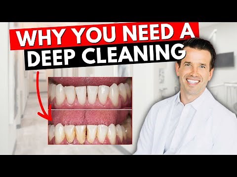 Prophy vs. Deep Cleaning...What's the difference? | Healthy Mouth Dental Cleaning vs. SRP
