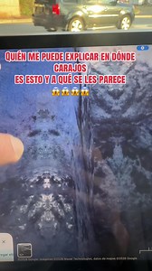 Fenómeno Extraterrestre: ¿Qué es esto?