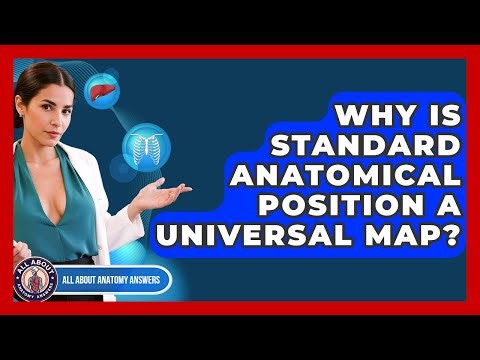 Why Is Standard Anatomical Position A Universal Map? - All About Anatomy Answers