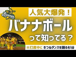 杉谷拳士を現役復帰させた「エンタメに振り切った野球」バナナボールとは？ぶっ飛んだ×意外と奥深いルール解説
