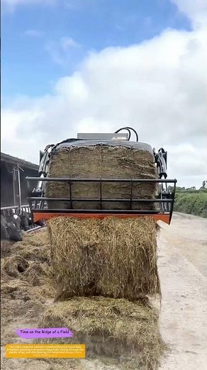 Claw and Wrap: How a Balecut Attachment Turns a Sealed Roll Into Feed
