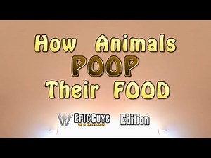 How Animals Eat Their Food | Poop / Epic Guys Edition