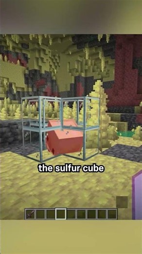 Can sulfur spikes kill a sulfur cube