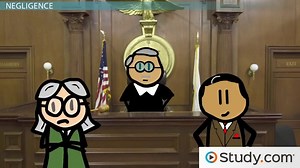 Product Liability Law | Definition, Types & Examples - Video | Study.com