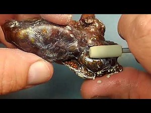 Fire Agate Tutorials ~ Deer Creek Final polish