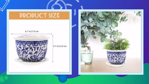 Blue and White Porcelain Small Indoor Succulent Planter Pot, Asian Decor Ceramic Planter with Saucer, 17x17x12cm, Glossy Finish
