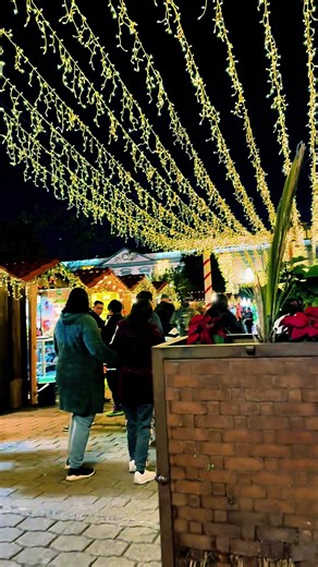 Mix grupero #mix #grupero