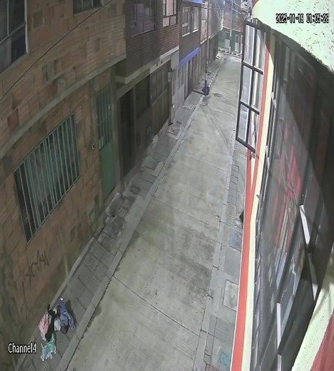 🚨 Robo en Segundo Piso Queda Grabado 🔍📹 Una cámara de seguridad registró el momento en que tres hombres cometen un robo en un segundo piso. Uno de ellos le hace apoyo al otro para que suba por la ventana —que estaba fácil de abrir— y desde allí comienza a sacar electrodomésticos y artículos de valor, arrojándolos hacia su cómplice. Tras reunir varias pertenencias, el hombre salta nuevamente y ambos escapan del lugar. Un nuevo caso que refleja el preocupante nivel de inseguridad que vive la ci