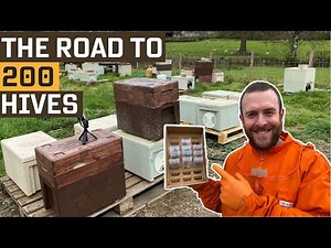 Road to 200 Beehives. Making Nucs To Increase Hive Numbers