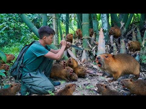 Wild Survival Life: Harvesting Bamboo Shoots & Giant Rat Caught in Trap