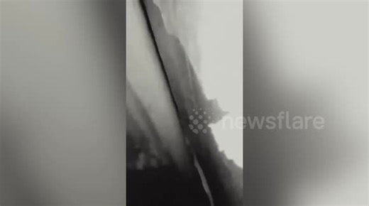 Husband found dead with python wrapped around his neck in the Philippines