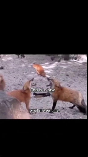 ‏life is to boring to not change the topic😔