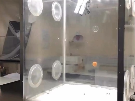 Did you know? Bees Don’t Fly at Night! 🐝 Honeybees rely on sunlight and patterns of polarised light in the sky to navigate. Their compound eyes are built for daylight and lose accuracy in low light. Without the sun’s cues, they risk getting lost or hitting obstacles. Staying in the hive after sunset conserves energy and protects the colony. A few tropical and nocturnal species have adapted to dim conditions, but most honeybees remain inactive once it’s dark. Bees this applies to: Honeybees and 