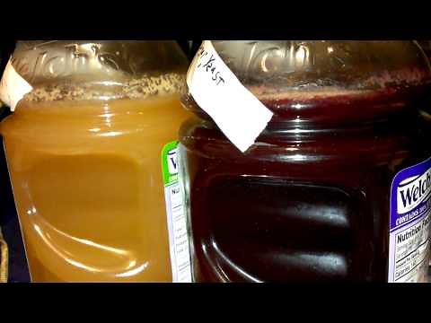 Fermenting 100% grape juice into cheap wine.