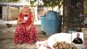 422K views · 9.6K reactions | Elaboración del curado de ciruela y nanche, un dulce preparado completamente artesanal, los invitamos a consumir lo que nuestra gente produce, este video fue para darle cobertura a la participación de la delegación de Chicapa de Castro en la Guelaguetza 2017. #TradicionesIstmeñas Video: Reportaje de CORTV | Tradiciones Istmeñas | Facebook