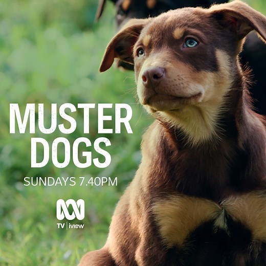 563K views · 3.4K reactions | From the red earth of the Top End to...