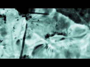 I DO (Edie Brickell & The New Bohemians)