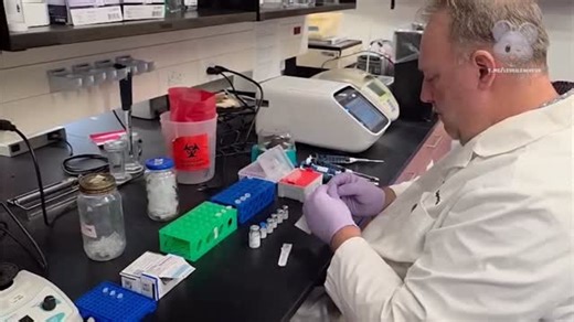 DrBuono on Instagram: "@campbellteaching est un infirmier spécialisé en recherche médicale en Angleterre qui a une chaîne d’information sur YouTube qui décortique les diverses études scientifiques sur le coronavirus depuis le début de la « crise » Ici il présente une étude sur le contenu en ADN de ces soit disant vaccins à ARNm et il est effarant. Je rappelle que pendant la campagne de vaccination forcée se succédaient dans les médias des médecins et scientifiques au discours infantilisant expli