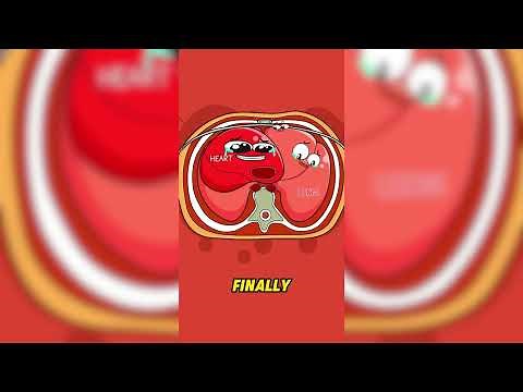 Learn with Laughs: Science Cartoons Teach & Delight!#cartoon #2animation