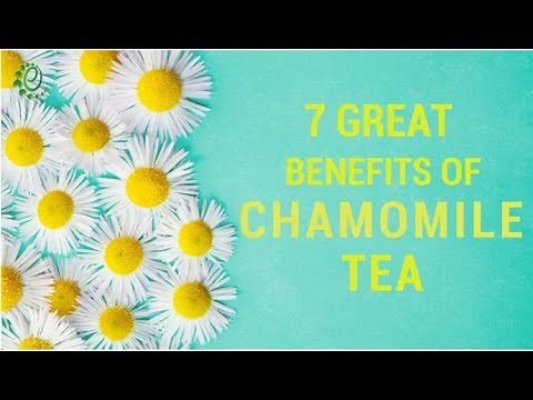 7 Amazing Health Benefits Of Chamomile Tea | Organic Facts