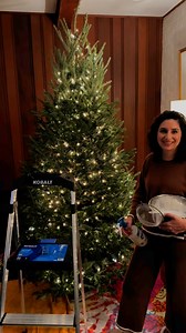 12K views · 54 reactions | Ever wanted to flock your tree? It really...