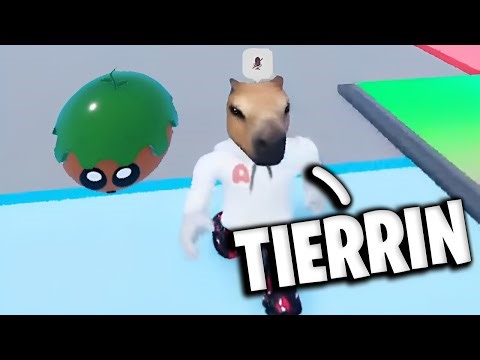 LA NUEVA MASCOTA DE AQUINO
