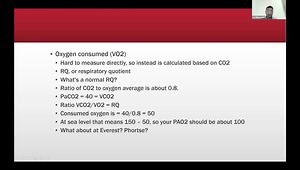 Lung Physiology: The Basics