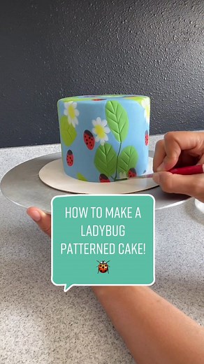 How to Make a Ladybug Patterned Cake