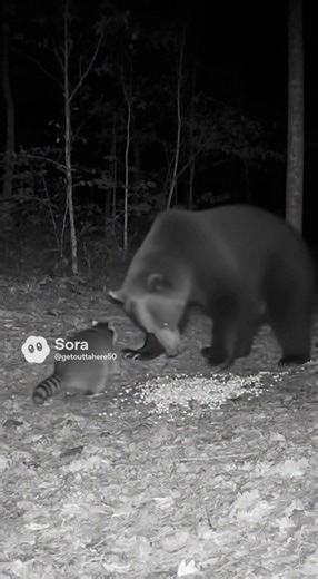 Brave little toaster right there | Get Outta Here