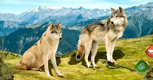 Descarga y juega a Juegos de lobos simulador de en PC y Mac (Emulador)