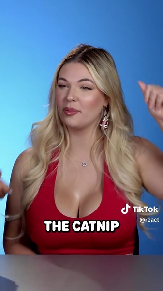 Shrek Comedy Show: White Bronco Chase into the Forest