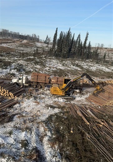 Race Against Time in Canadian Logging Operations