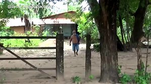 93K views · 4.4K reactions | PACHECO VISITA SEU AMIGO BARRÃO NA ZONA RURAL DE COROATÁ. | Programa do Pacheco | Facebook