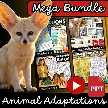 Animal Adaptations Matching Bundle | Posters, Worksheets, Video, PPT, Bingo Game