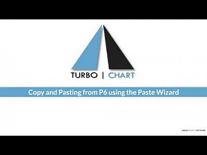 P6 Copy and Paste Wizard