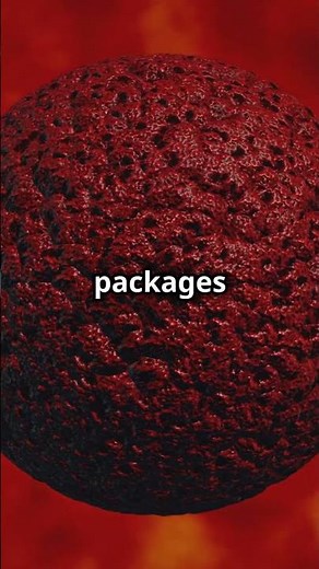 Bacteria vs. Viruses: The Microscopic Battle Uncovered! #Science #Health #biology