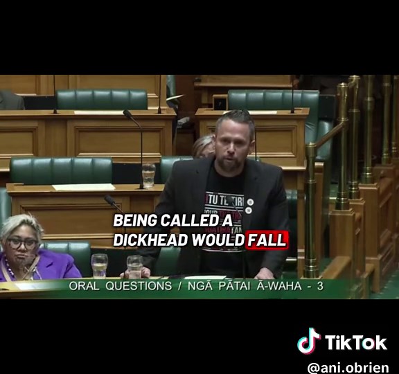 My goodness. Who did Winston call a d***head? #nz #nzpol #nzpolitics #newzealand #nzparliament #nzgovernment #winstonpeters #tepatimaori #nzfirst