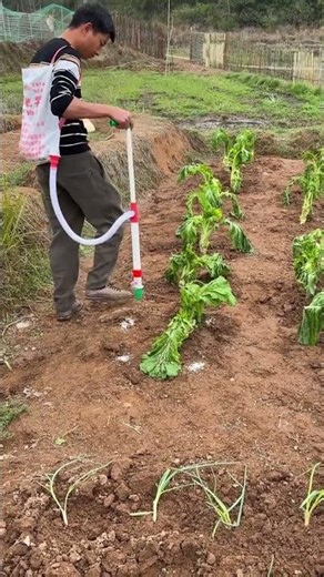 Miracle of Fertilization: Unveiling the Secrets