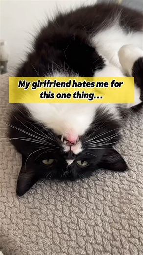 Shocking but true: Most cat food contains as little as 4% named meat. Cats are carnivores, they need meat to thrive! That's why Untamed is: 🥩 Made with 100% fresh, real meat & wild fish 🧑‍🍳 Hand-prepared in human food facilities 🏋🏻 Up to 2X more protein than leading brands Don't miss out! Get your £7 trial box now with FREE shipping included! | James the Cat Dad