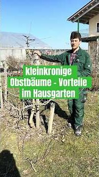 Kleine Obstbäume: Vorteile von kleinkronigen Obstbäumen im Hausgarten