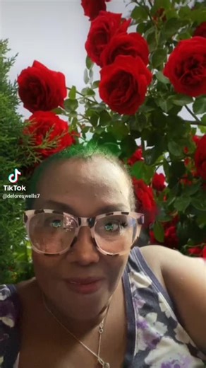 deloreswells7 (@deloreswellls)’s videos with original sound - deloreswells7